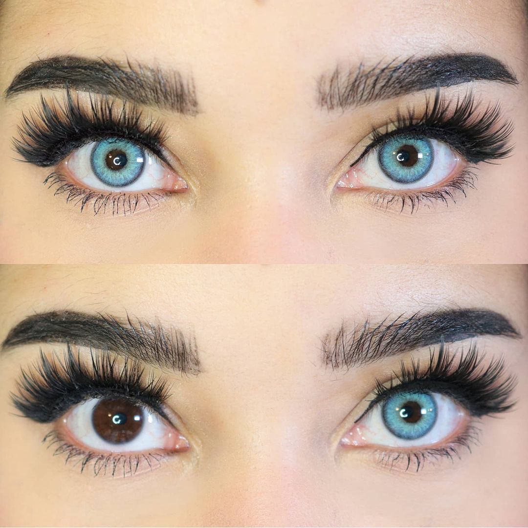 Himalaya Blue | 1 Year