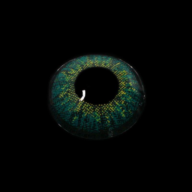 Three Tone KALLAITE TURQUOISE GREEN | 1 Year