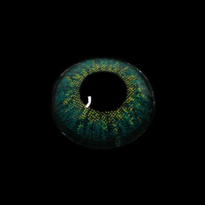 Three Tone KALLAITE TURQUOISE GREEN | 1 Year