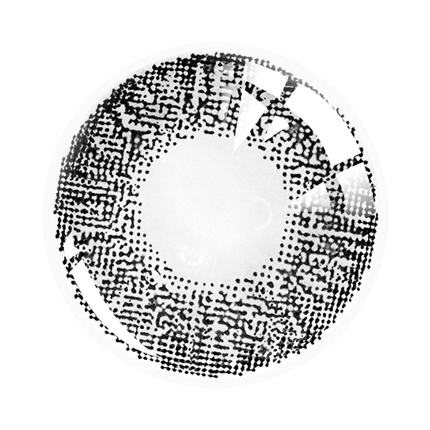 Three Tone Series| 1 Year