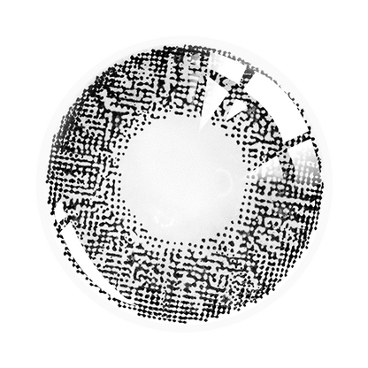 Three Tone Series| 1 Year