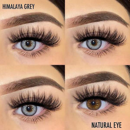 Himalaya Gray | 1 Year