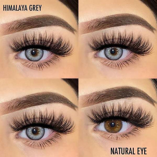 Himalaya Gray | 1 Year